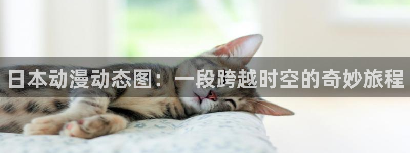 假面骑士加布免费观看樱花动漫：日本动漫动态图：一段跨越时空的奇妙旅程