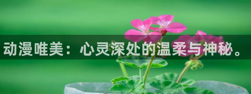 哥布林的老巢樱花动漫