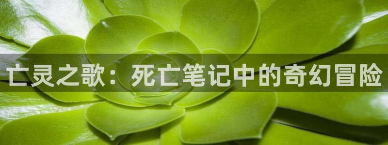 齐木楠雄的灾难第1季樱花动漫