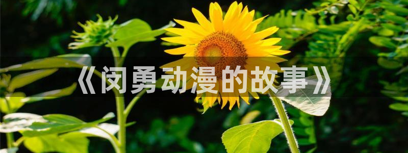 甲贺忍法帖在线观看樱花动漫