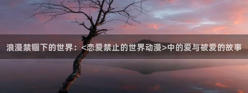樱花动漫官网 imomoe