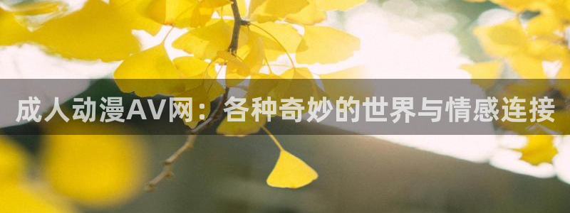 零之使魔动漫第一季樱花动漫