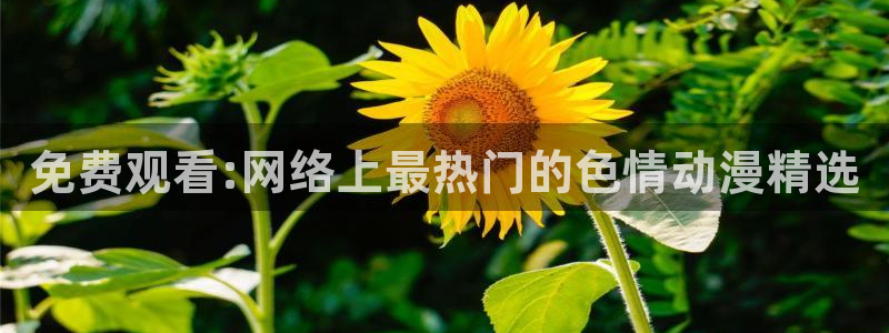 怎么下载樱花动漫