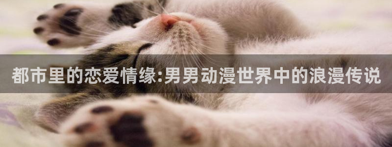 青之箱第13集樱花动漫