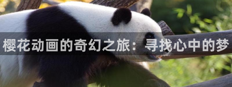 剑风传奇1997无删减樱花动漫：樱花动画的奇幻之旅：寻找心中的梦