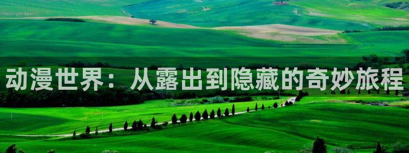 表妹樱花动漫：动漫世界：从露出到隐藏的奇妙旅程
