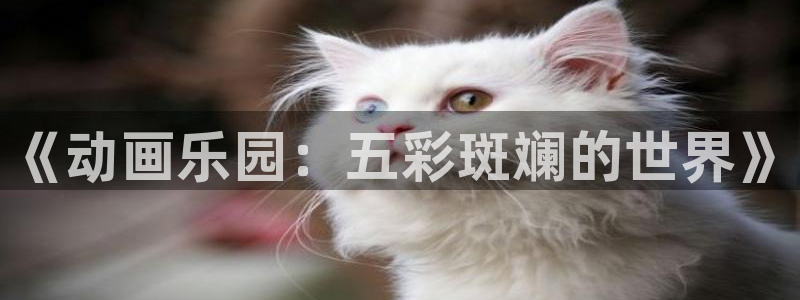 樱花动漫专看动漫的网站：《动画乐园：五彩斑斓的世界》