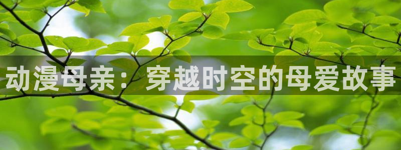 后街女孩樱花动漫：动漫母亲：穿越时空的母爱故事