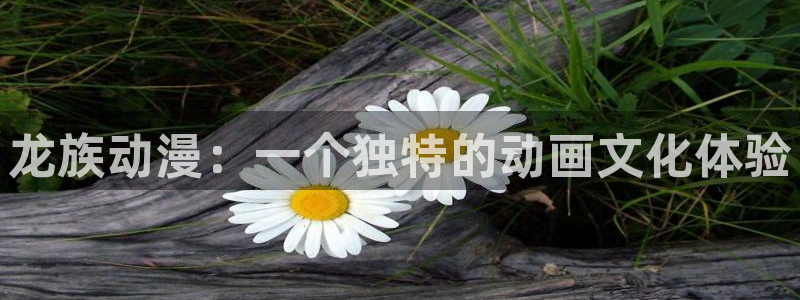 纤夫的爱动漫樱花动漫免费观看：龙族动漫：一个独特的动画文化体验
