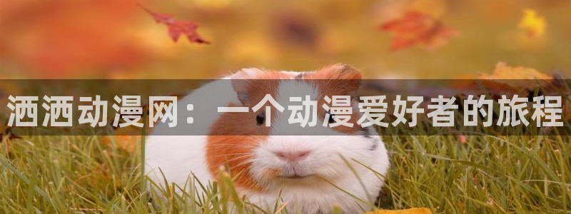 强袭魔女第二季樱花动漫：洒洒动漫网：一个动漫爱好者的旅程
