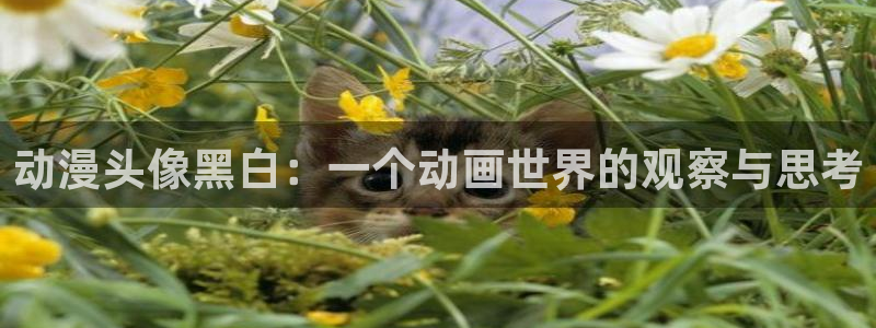 樱花动漫影视在线观看：动漫头像黑白：一个动画世界的观察与思考