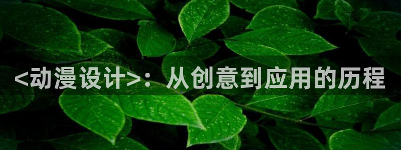 樱花动漫网专注动漫的门户网：<动漫设计>：从创意到应用的历程