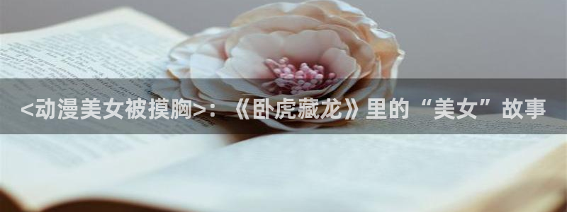 假面骑士平成世代永恒樱花动漫：<动漫美女被摸胸>：《卧虎藏龙》里的“美女”故事