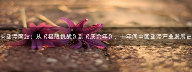 无颜之月,樱花动漫：肉动漫网站：从《极限挑战》到《庆余年》，十年间中国动漫产业发展史