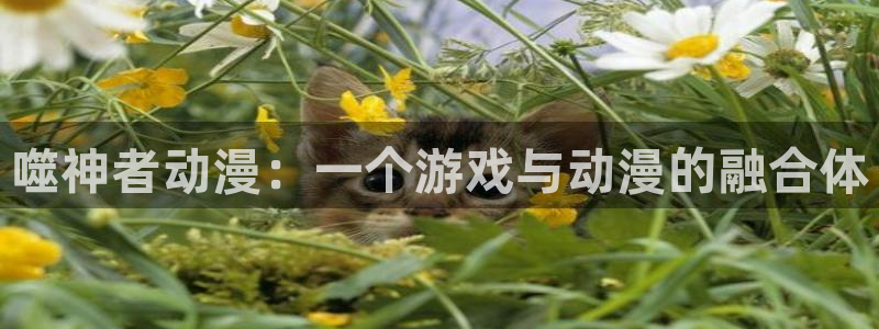 樱花动漫免费官网：噬神者动漫：一个游戏与动漫的融合体