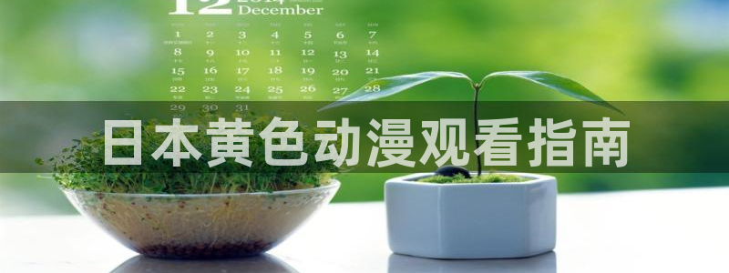euphoria免费观看樱花动漫：日本黄色动漫观看指南