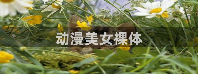 樱花动漫网站网：动漫美女裸体
