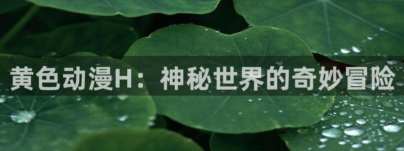 樱花动漫全集在线观看：黄色动漫H：神秘世界的奇妙冒险