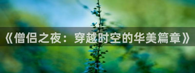 初恋时刻樱花动漫：《僧侣之夜：穿越时空的华美篇章》