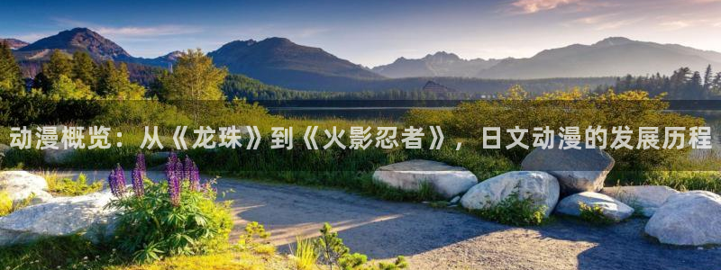 一念永恒樱花动漫在线看：动漫概览：从《龙珠》到《火影忍者》，日文动漫的发展历程