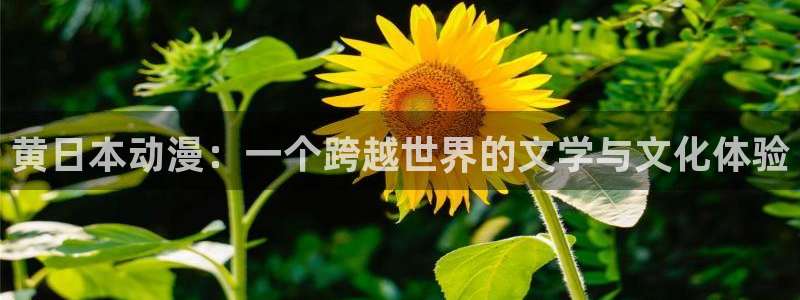 樱花动漫全职法师第六季：黄日本动漫：一个跨越世界的文学与文化体验