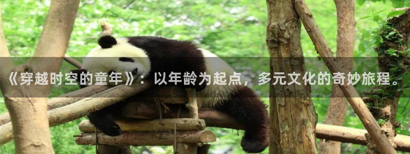 名侦探柯南樱花动漫在线看：《穿越时空的童年》：以年龄为起点，多元文化的奇妙旅程。