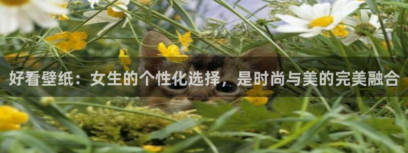 jojo第四部樱花动漫：好看壁纸：女生的个性化选择，是时尚与美的完美融合