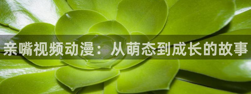 魅魔与王子在线观看樱花动漫：亲嘴视频动漫：从萌态到成长的故事