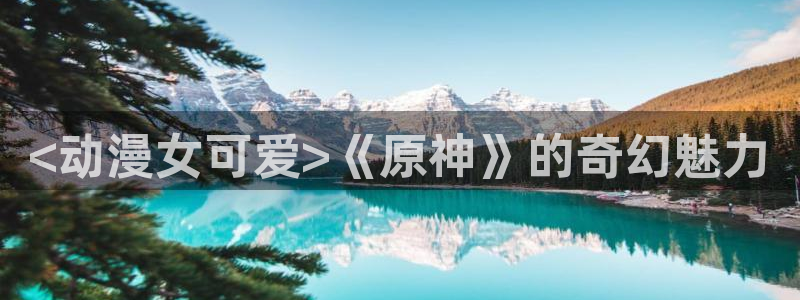 海贼王免费看樱花动漫：<动漫女可爱>《原神》的奇幻魅力