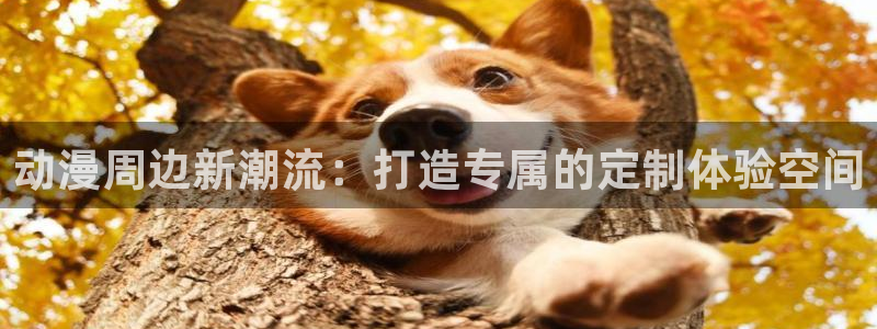 铠甲勇士第一部樱花动漫