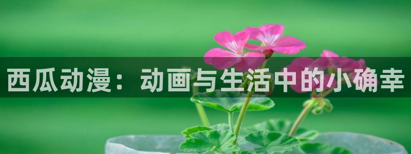 蛊惑之刻樱花动漫