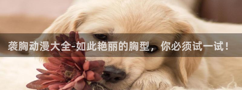 熊出没免费观看樱花动漫下载
