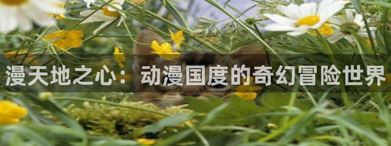 歌舞伎町夏洛克樱花动漫