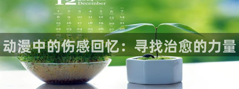 海边的异邦人动画樱花动漫