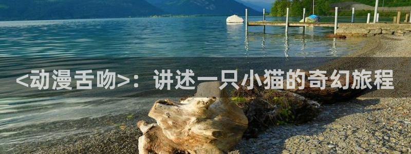 宝可梦剑盾樱花动漫