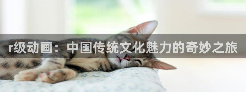 overload樱花动漫