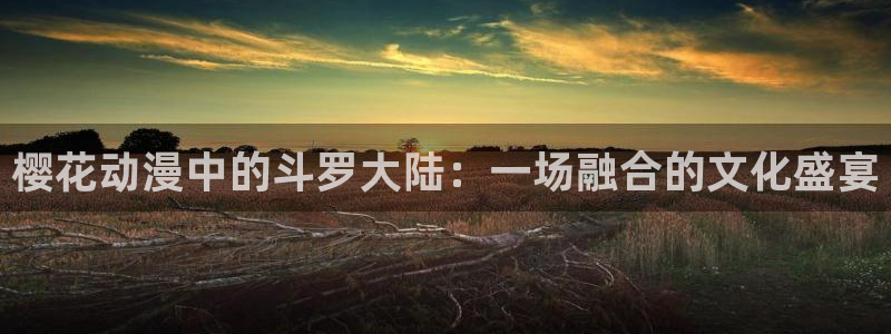 樱花动漫安装