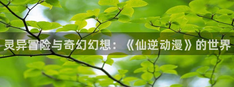 花舞少女樱花动漫