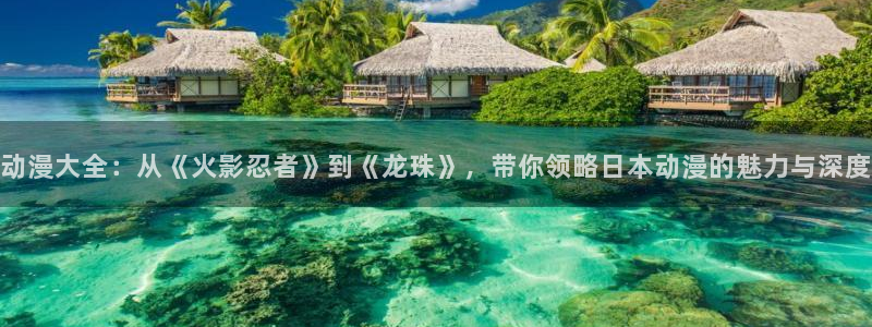 美食猎人樱花动漫在线