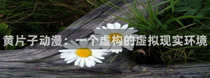 三平方的侵略者樱花动漫