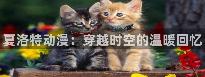 樱花动漫专注于动漫的