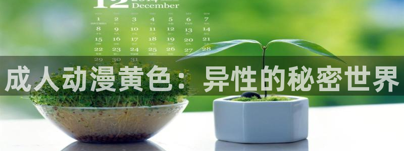 八尺大人樱花动漫在线观看