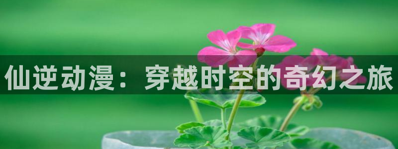 艳母动漫在线观看樱花动漫