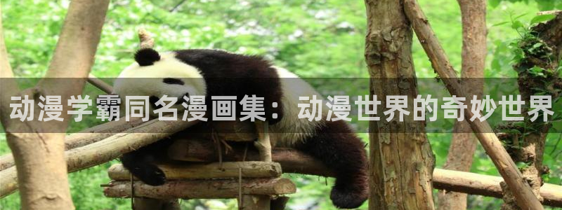扑杀天使樱花动漫